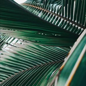 Meet your Posher, Leeza